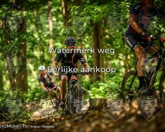 Bartje 200 photo