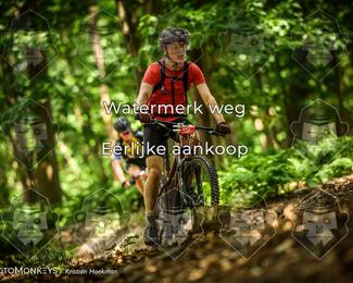 Bartje 200 photo
