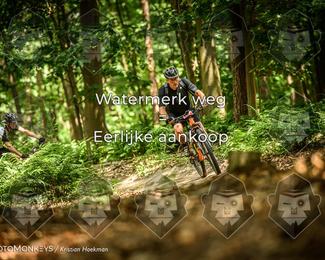 Bartje 200 photo