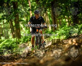 Bartje 200 photo