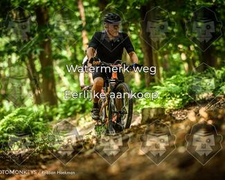 Bartje 200 photo