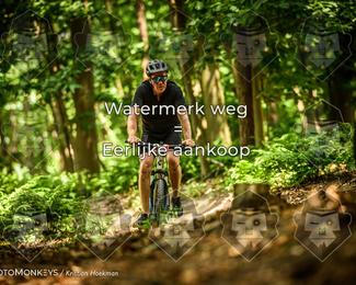 Bartje 200 photo