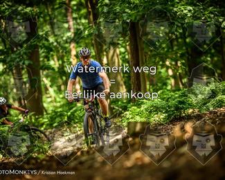 Bartje 200 photo