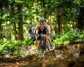 Bartje 200 photo
