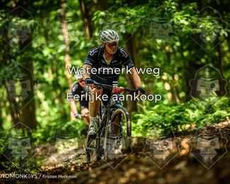Bartje 200 photo
