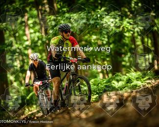 Bartje 200 photo