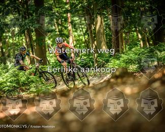 Bartje 200 photo