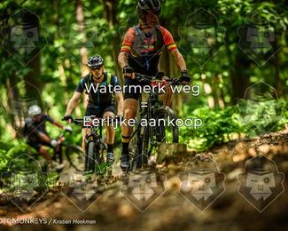 Bartje 200 photo