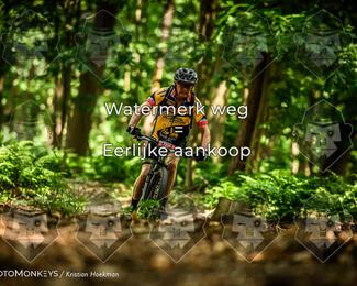 Bartje 200 photo