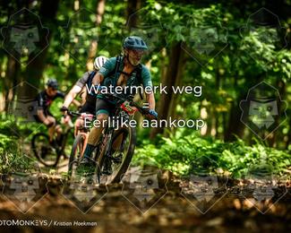 Bartje 200 photo