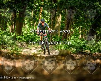 Bartje 200 photo