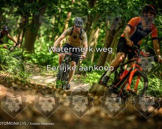 Bartje 200 photo