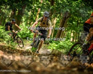 Bartje 200 photo