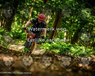 Bartje 200 photo