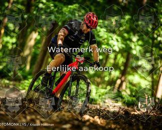 Bartje 200 photo
