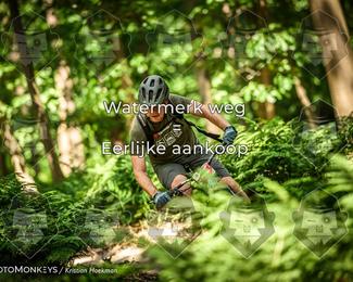 Bartje 200 photo