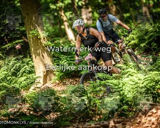 Bartje 200 photo