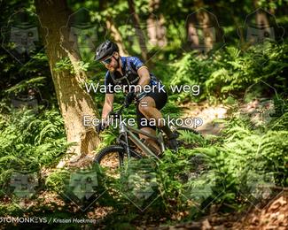 Bartje 200 photo
