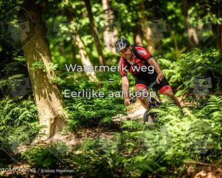 Bartje 200 photo