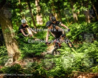 Bartje 200 photo