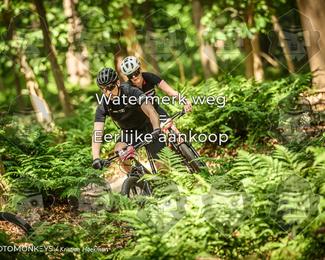 Bartje 200 photo
