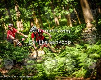 Bartje 200 photo