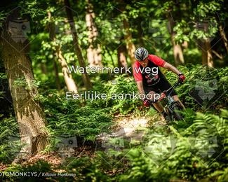 Bartje 200 photo