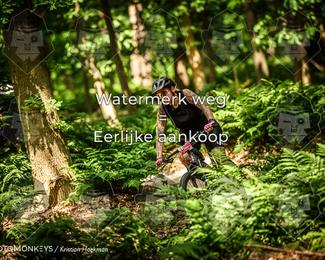Bartje 200 photo
