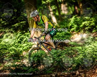 Bartje 200 photo