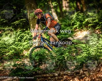 Bartje 200 photo