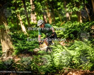 Bartje 200 photo