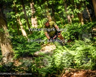 Bartje 200 photo