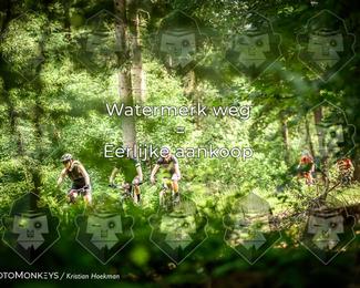 Bartje 200 photo