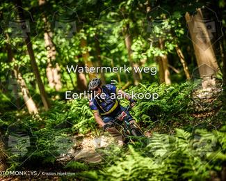 Bartje 200 photo