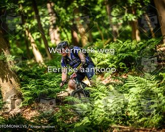 Bartje 200 photo