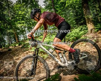 Bartje 200 photo
