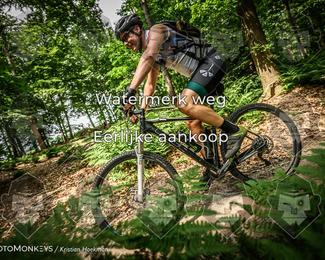 Bartje 200 photo
