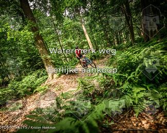 Bartje 200 photo