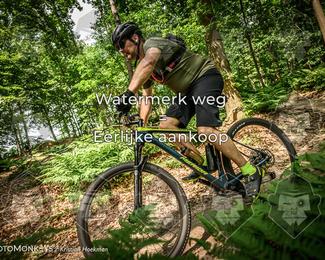 Bartje 200 photo