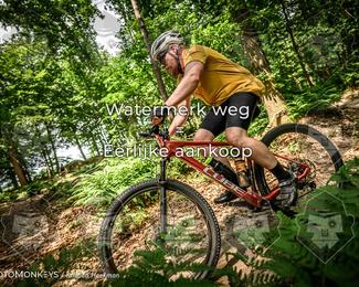 Bartje 200 photo