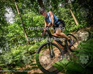 Bartje 200 photo