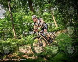 Bartje 200 photo