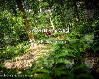 Bartje 200 photo