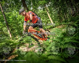 Bartje 200 photo