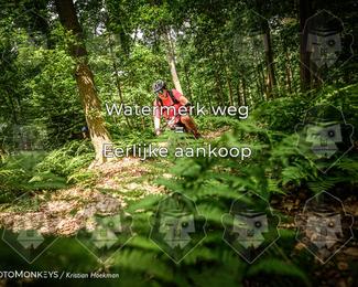 Bartje 200 photo