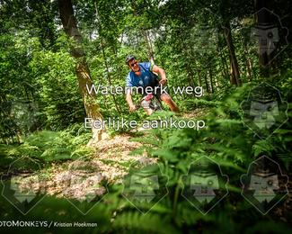 Bartje 200 photo