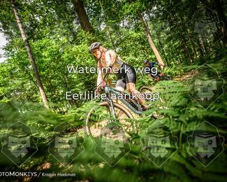 Bartje 200 photo