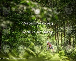Bartje 200 photo