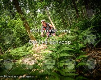 Bartje 200 photo