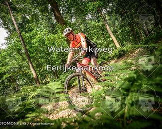 Bartje 200 photo